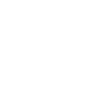 Shadow System Conversion Kits