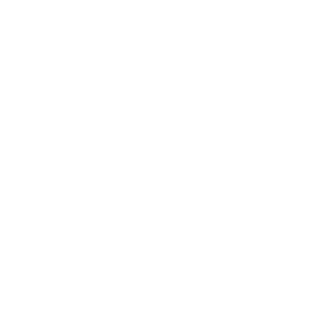 Taurus Conversion Kits